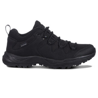 Icepeak Ahola Ms
