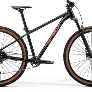 Merida Big.Nine 40